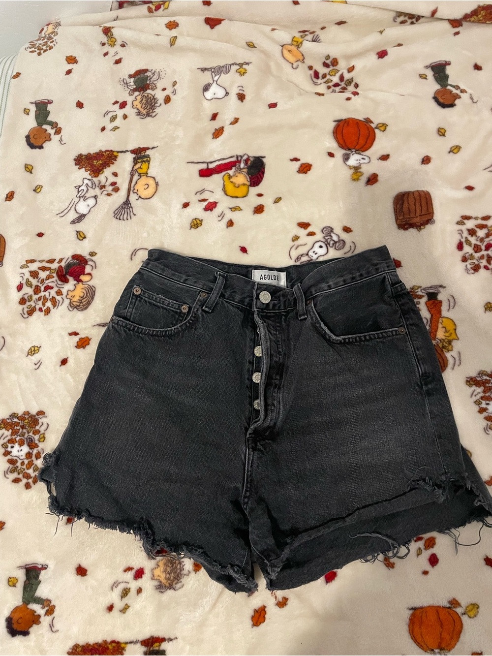 AGOLDE Black High Waisted Denim Cutoff Shorts Sz 28